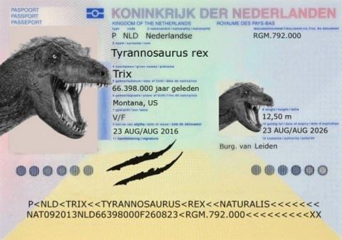 Paszport dla dinozaura