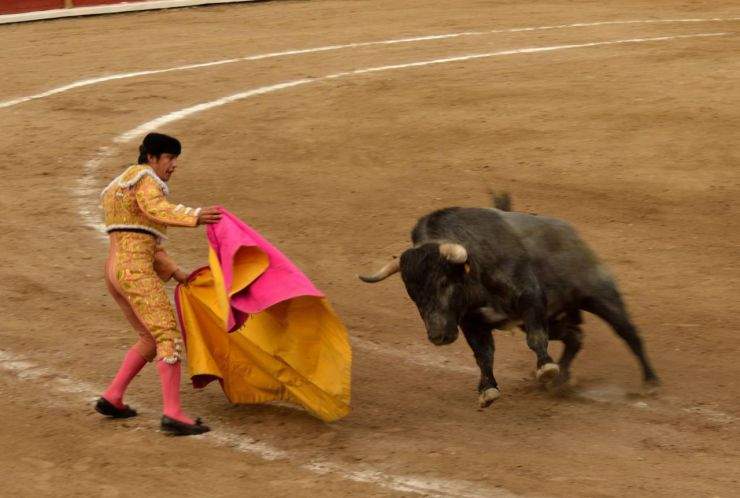 Koniec kontrowersyjnej tradycji w Hiszpanii?