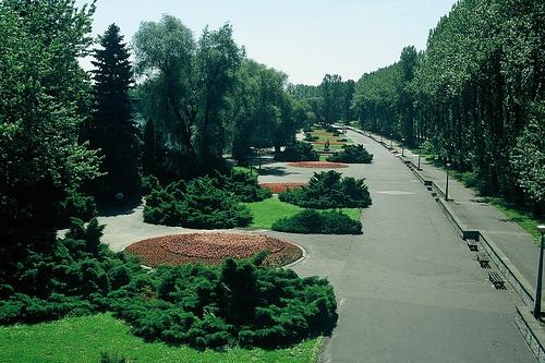 park_w_chorzowie