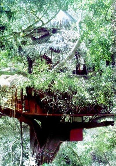 treehouse hotel
