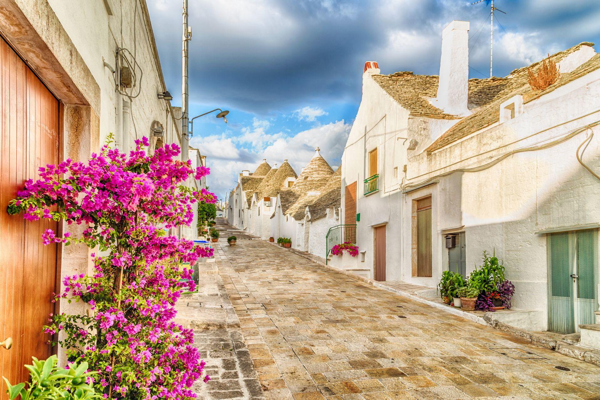 kwiaty na ulicy alberobello we włoszech