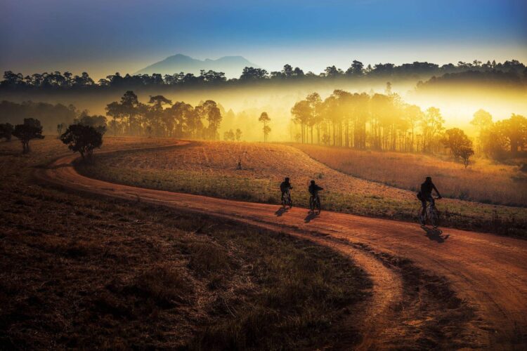 rowerzyści jadący w zachodzącym słońcu