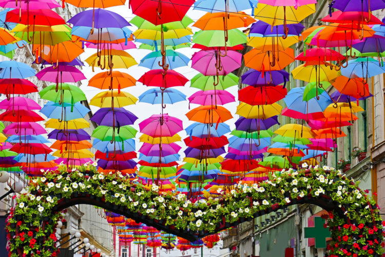 kolorowe parasolki wiszące nad ulicą w tamisoarze w rumunii