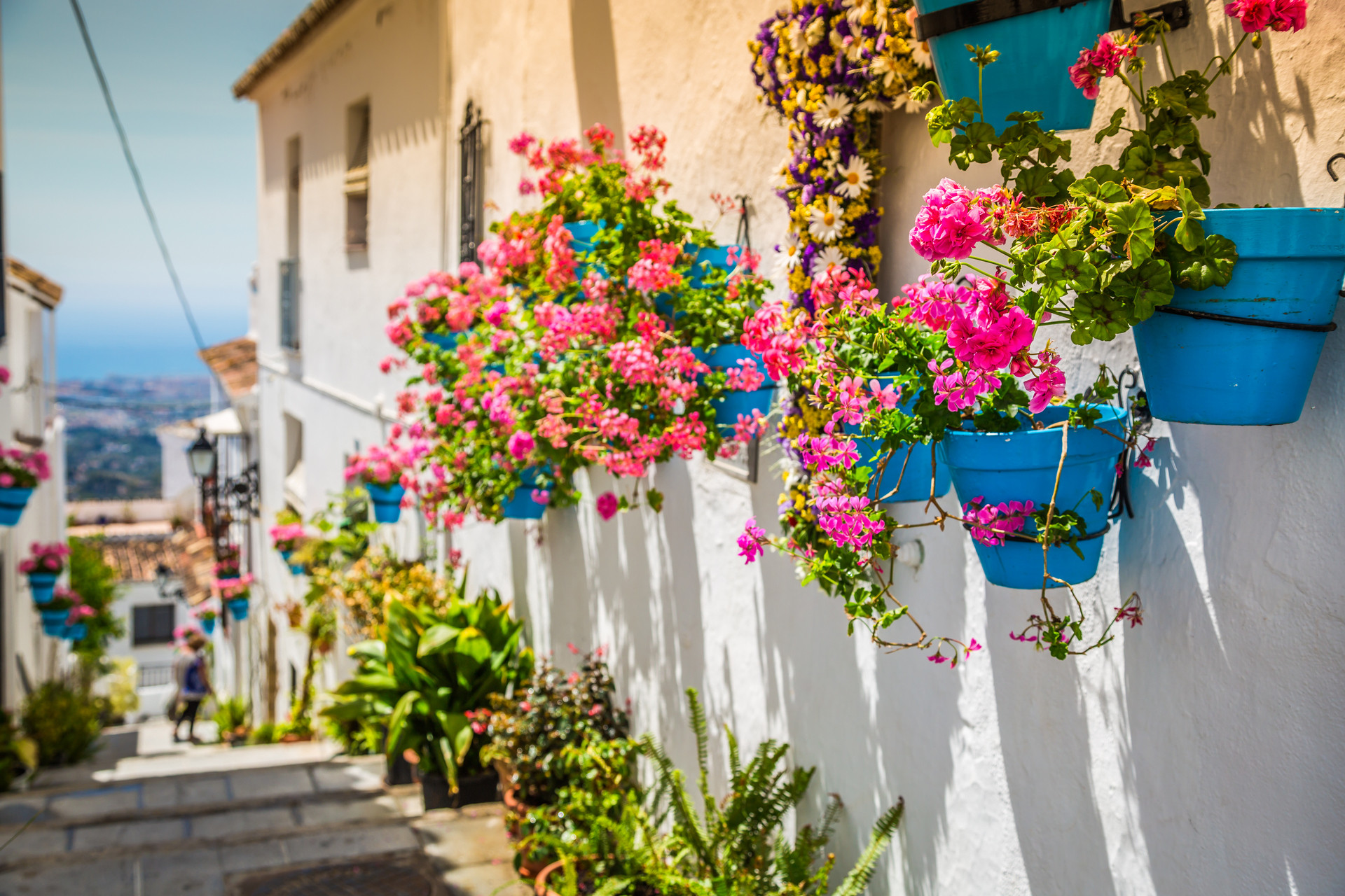 kwiaty na ulicy mijas w andaluzji w hiszpanii