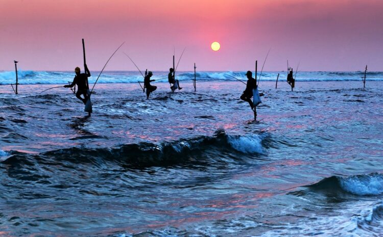 mężczyźni na palach wodnych łowiący ryby o zachodzie słońca