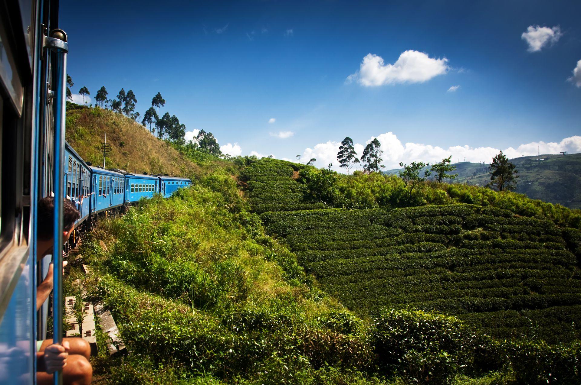 niebieski pociąg przejeżdżający przez zielona plantację herbaty