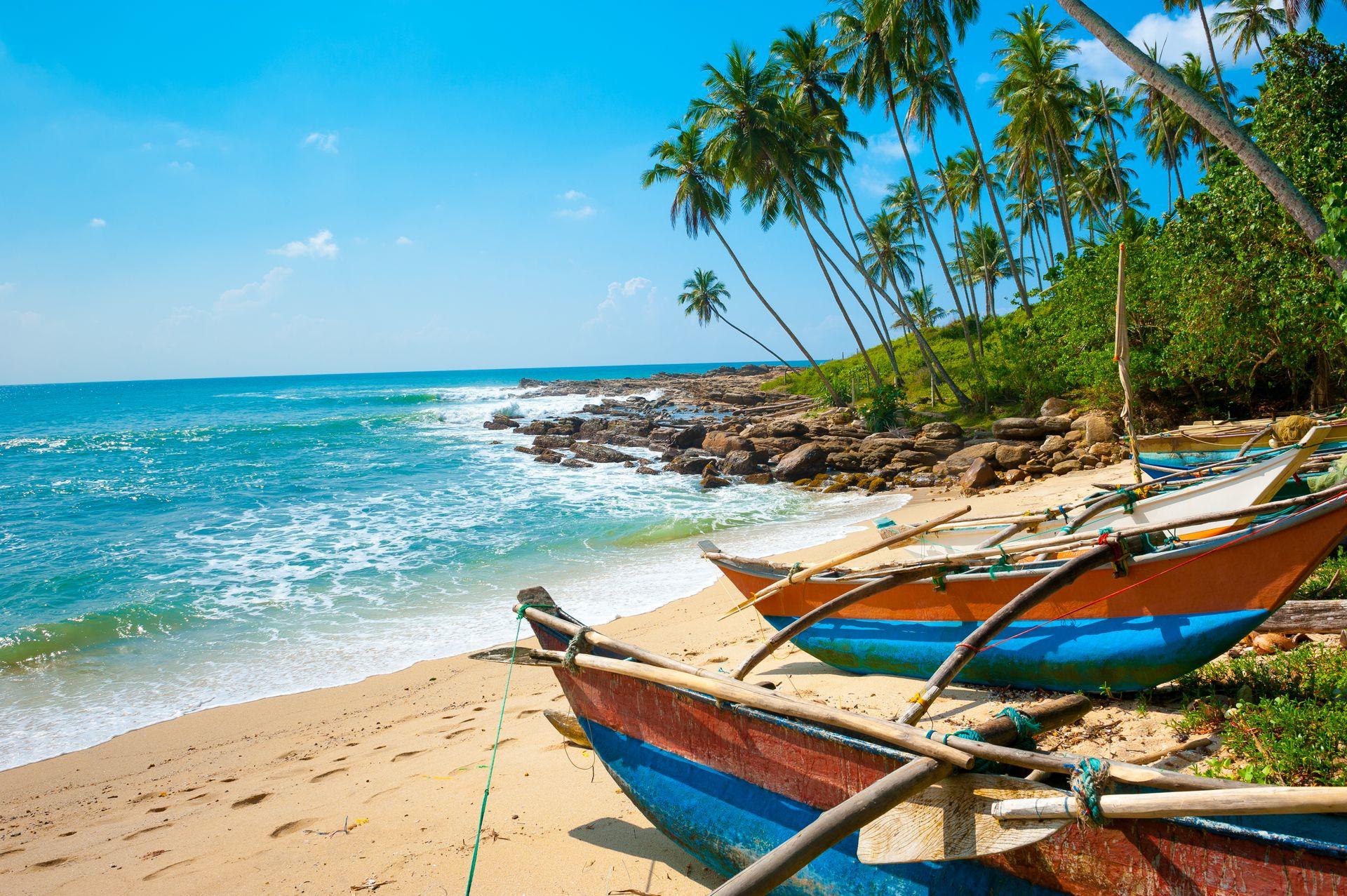 piaszczysta plażą z kolorowymi łódkami i palmami