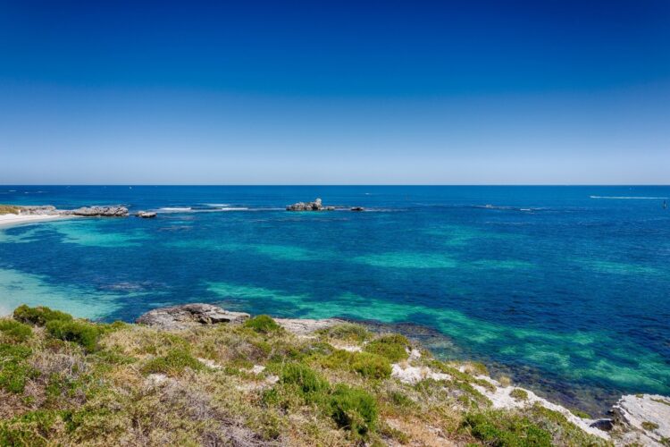 rezerwat wyspa rottnest u wybrzeży australii