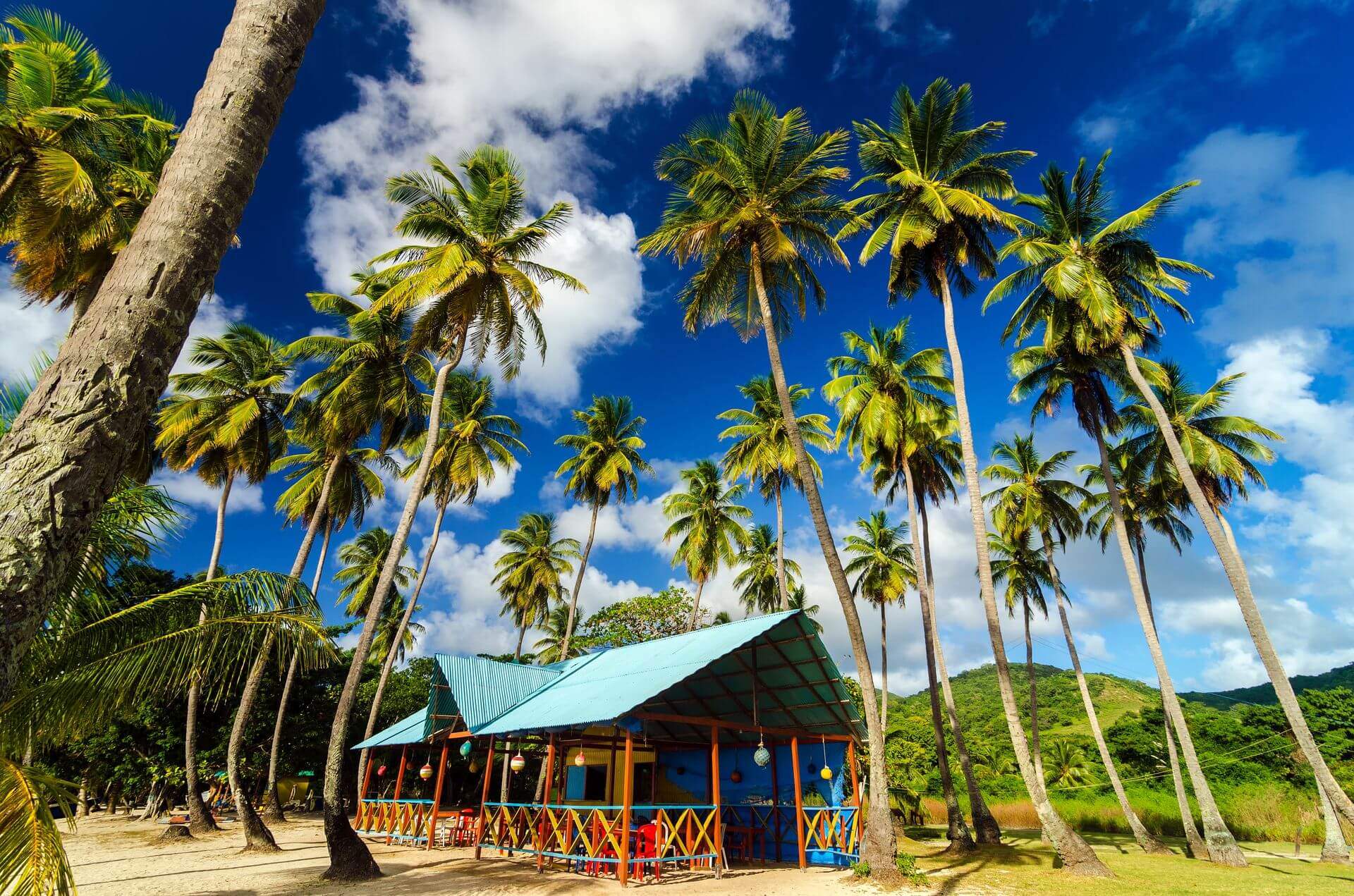 domek na plaży pod palmami