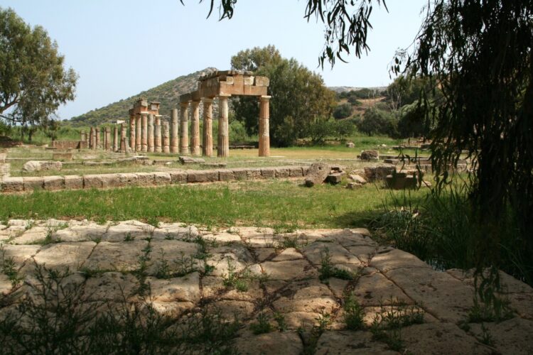 ruiny starożytnej świątyni położonej wśród traw
