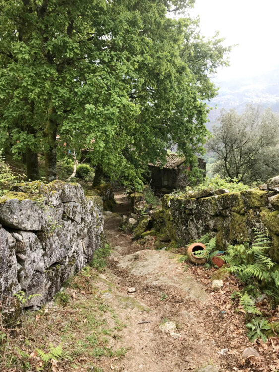 ścieżka z kamiennym murem