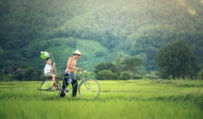 Tato z synem idący z rowerem po polu w Tajlandii
