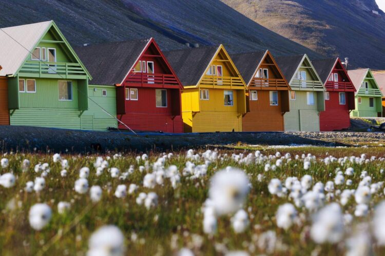 kolorowe domki na łące w norwegii