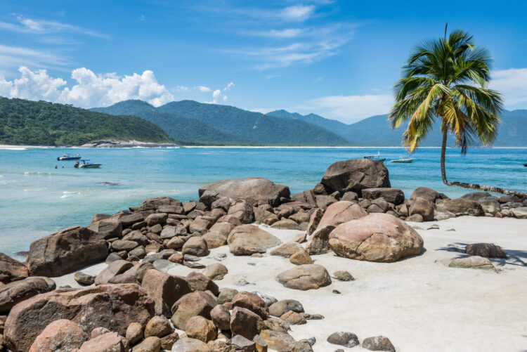 Ilha grande Brazylia