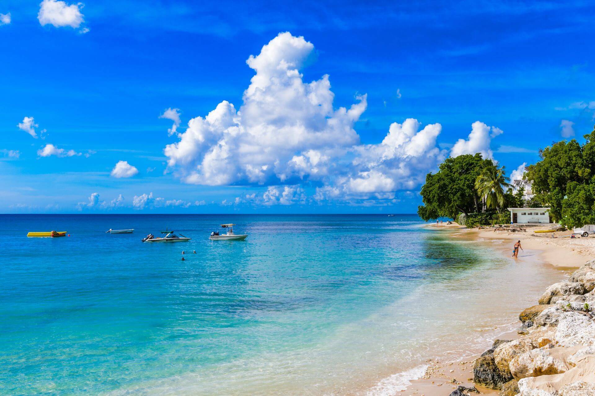 plaża na Barbados