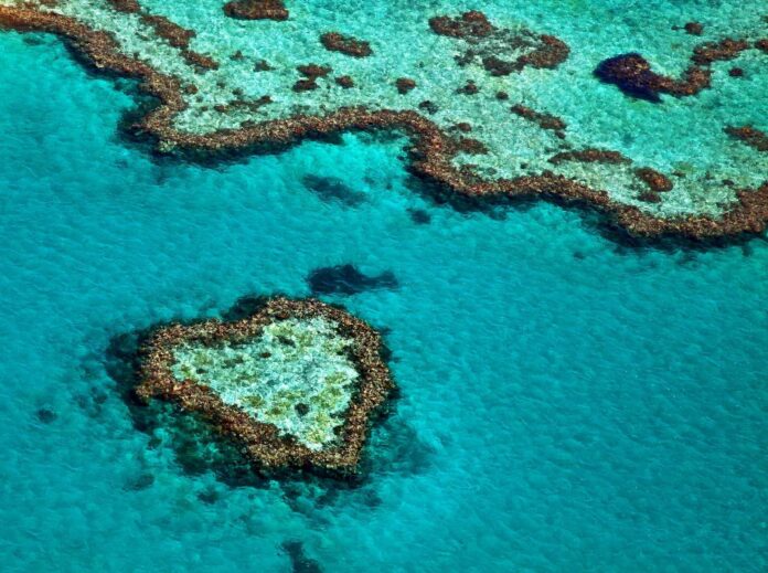 atole rafy koralowej widziane z samolotu