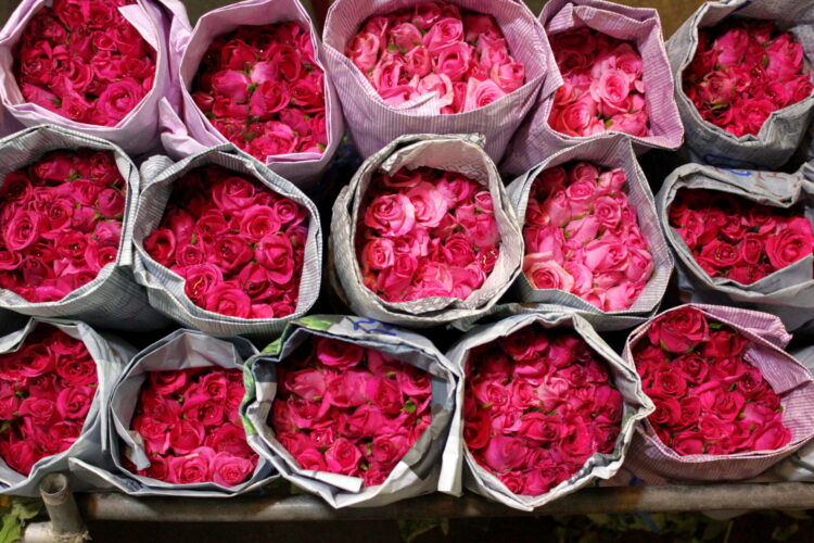 targ kwiatowy bangkok tajlandia