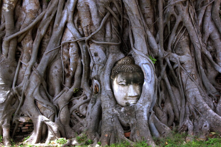 Wat Mahathat Ayutthaya Tajlandia