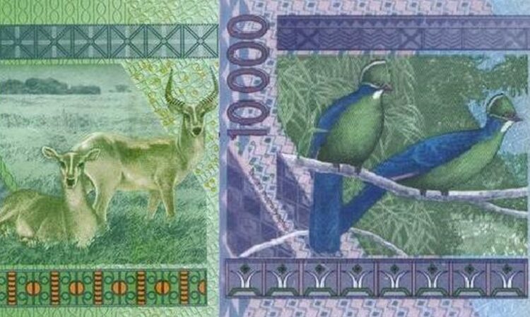 Dwa przykładowe banknoty franka CFA