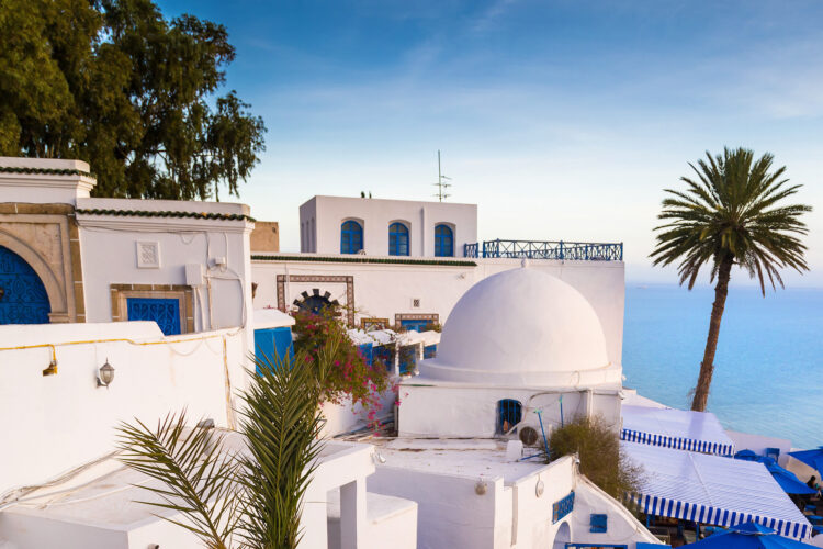 tunezja tunis zwany arabska madera