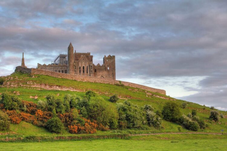 zamek w irlandii