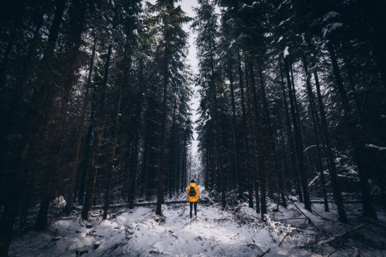 człowiek z plecakiem w lesie iglastym zimą
