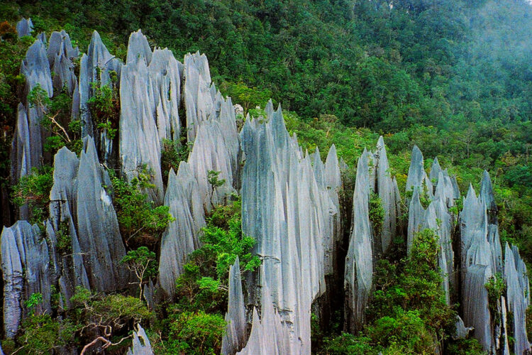 Park narodowy Gunung Mulu, Borneo