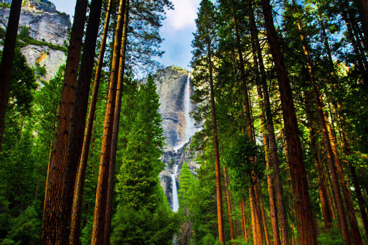 Yosemite Falls, USA