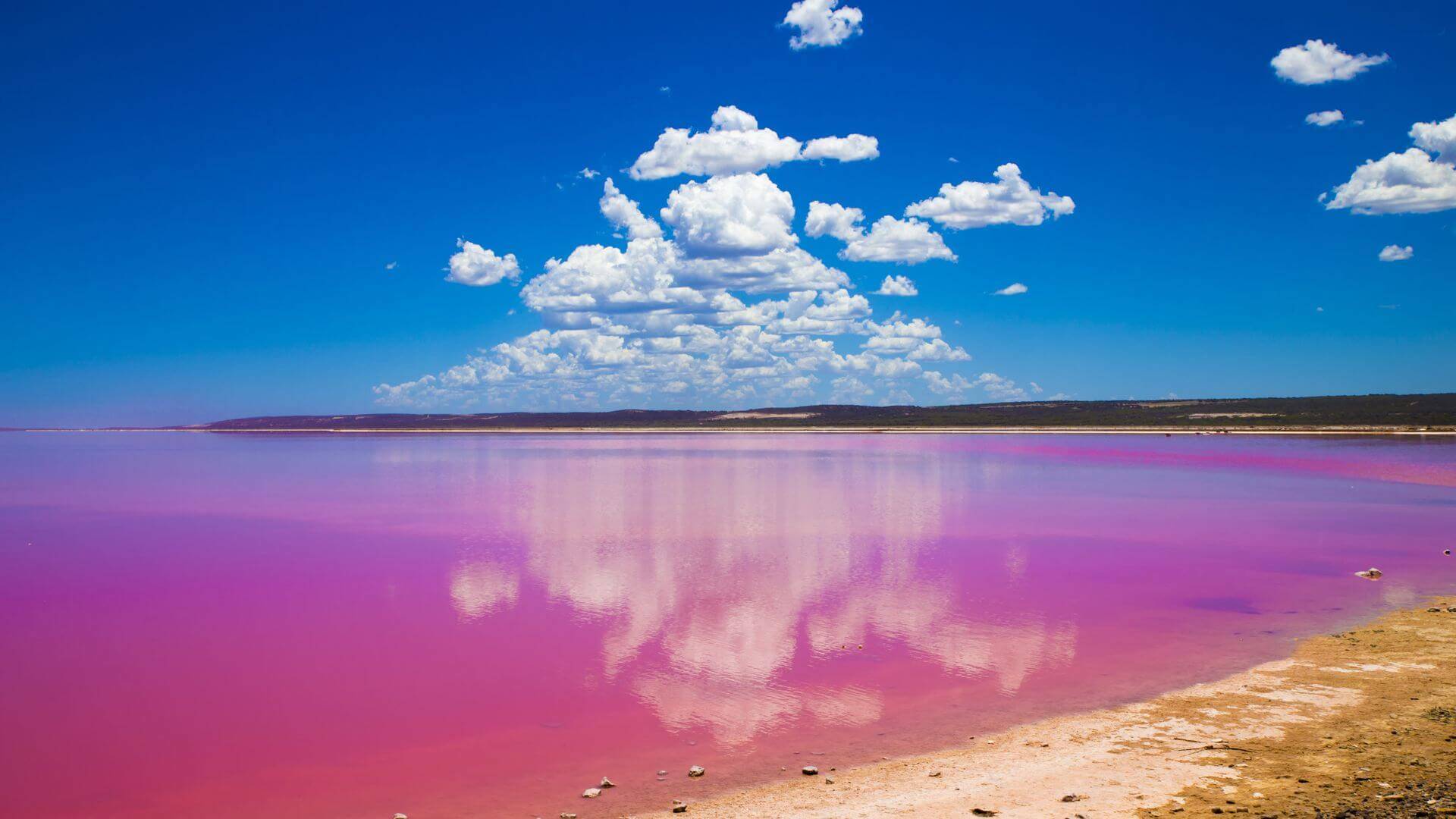 różowe jezioro w Australii