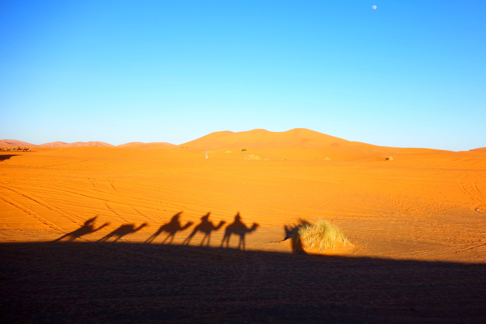 karawana na pustyni sahara maroko
