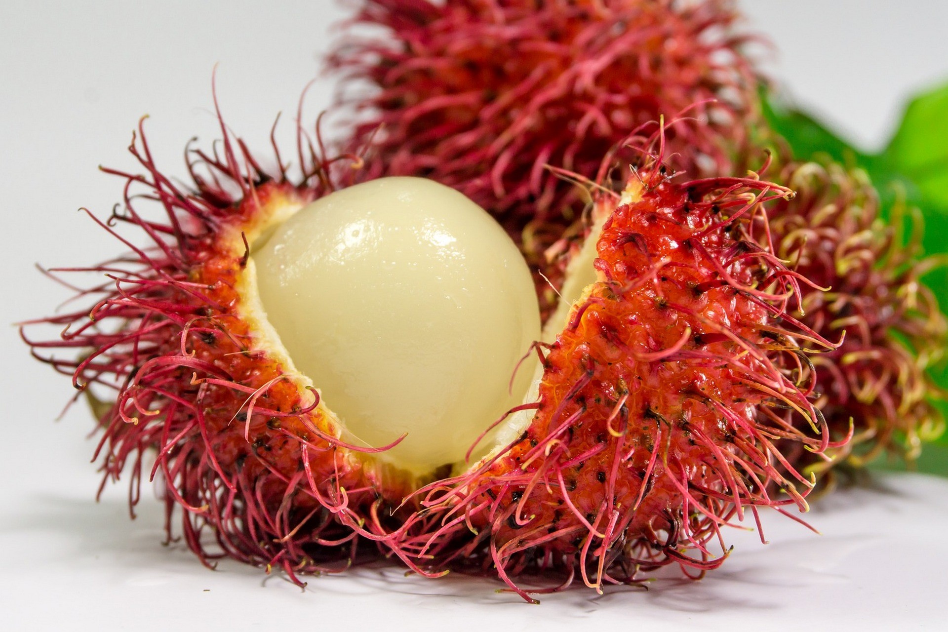 jagodzian rambutan