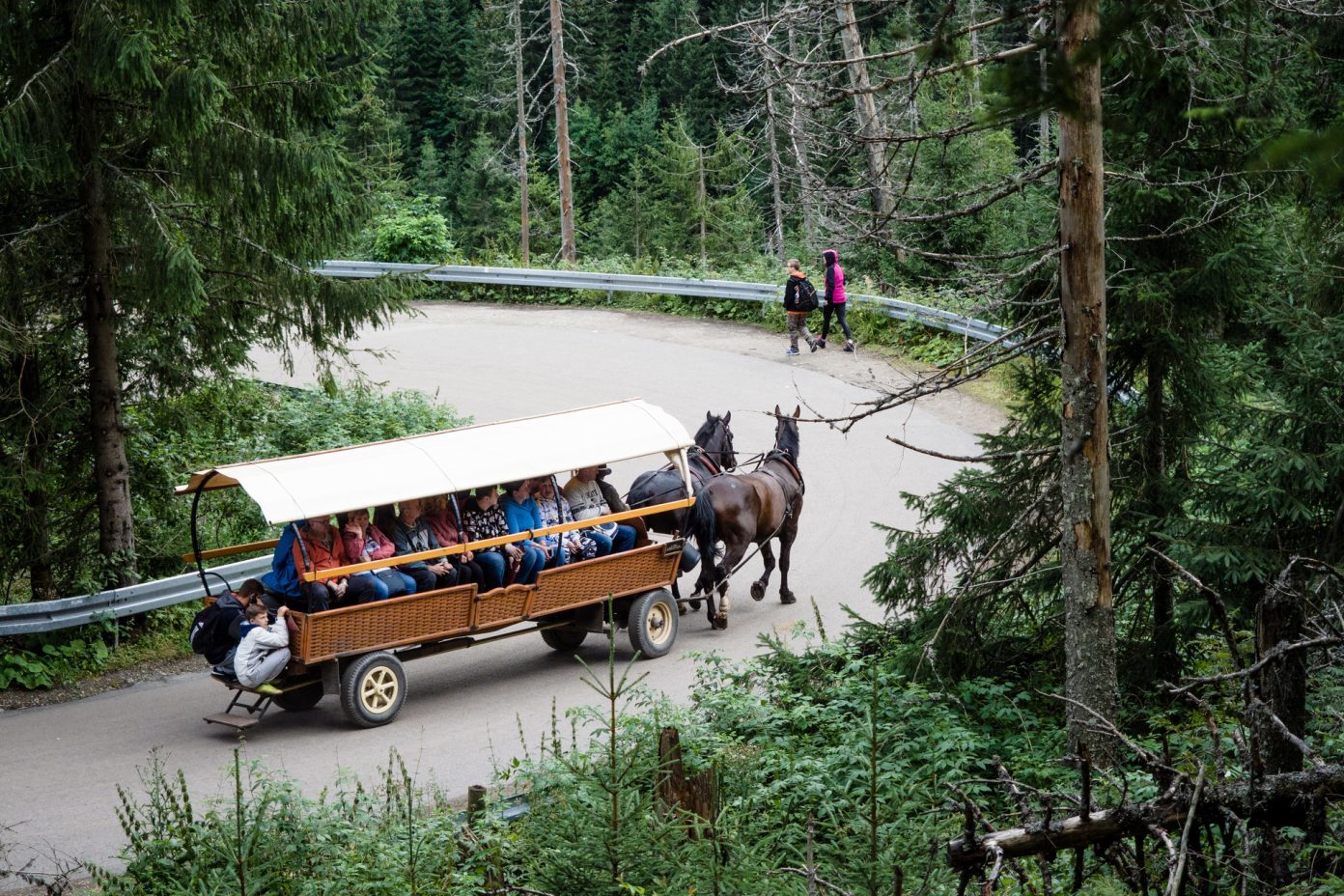 bryczka na morskie oko w tatrach