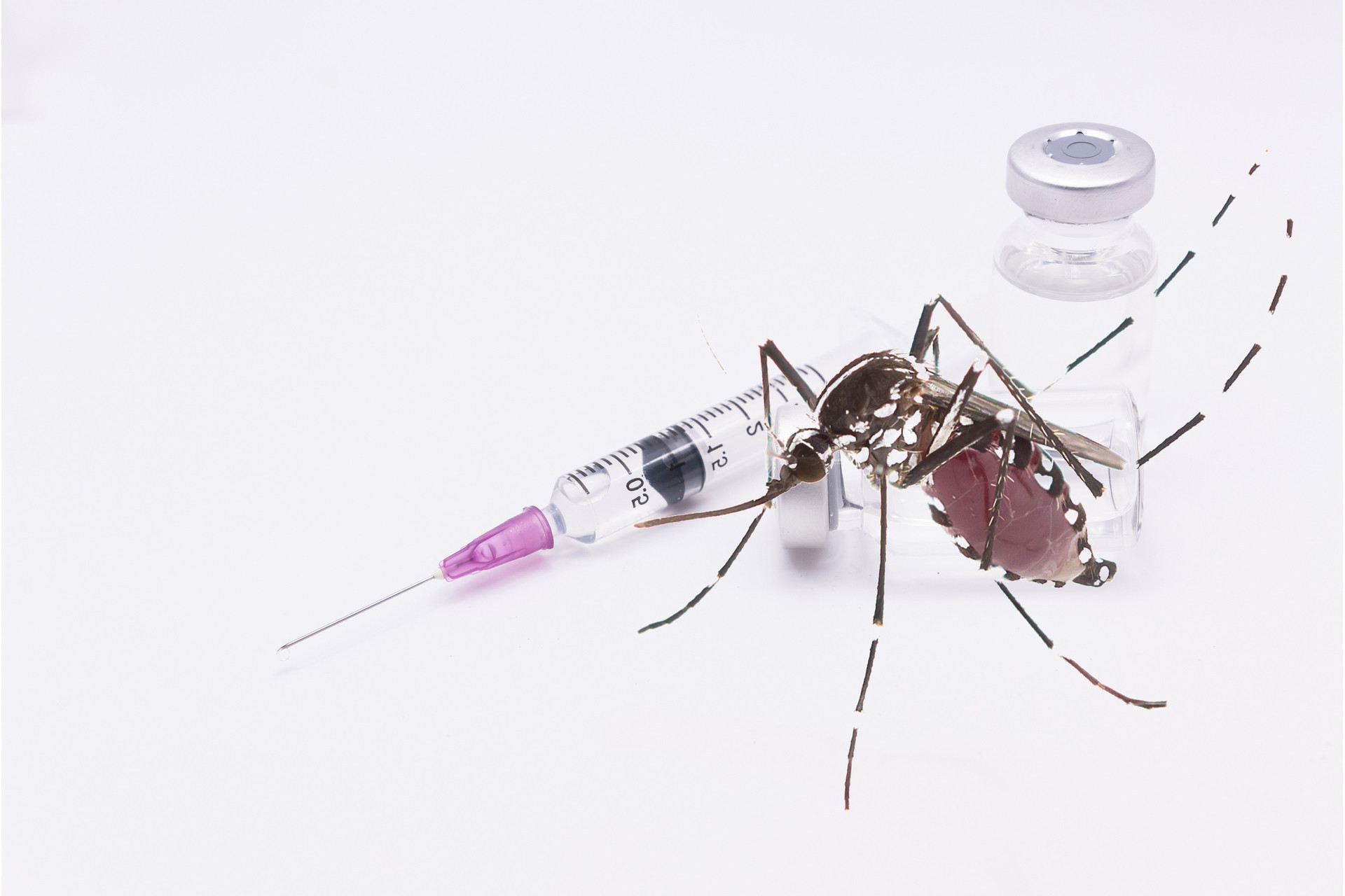 komar i strzykawka z lekiem