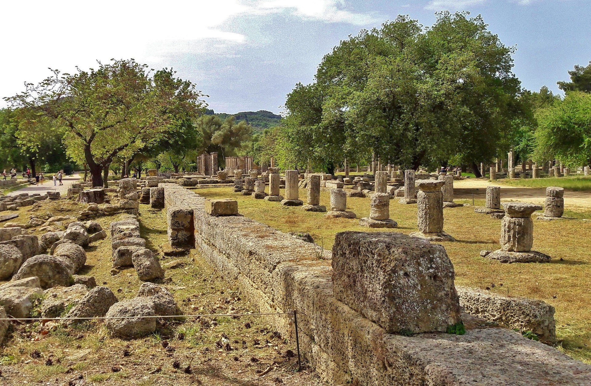 kamienne ruiny starożytnego miasta położone pośród roślinności