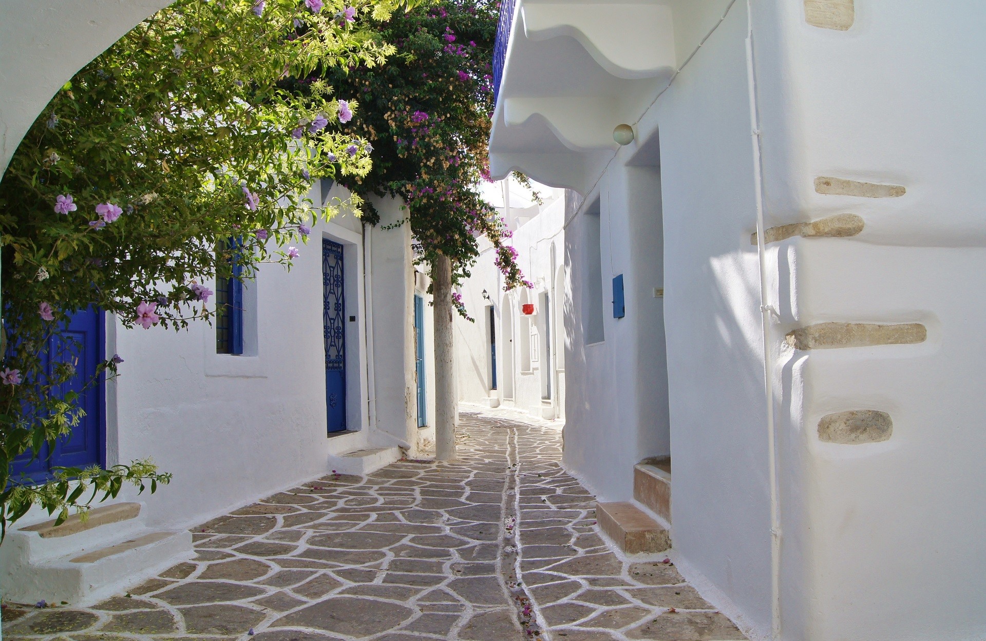 uliczka z bielonymi domkami w tradycyjnym cykladzkim stylu po części osłonięta roślinnością