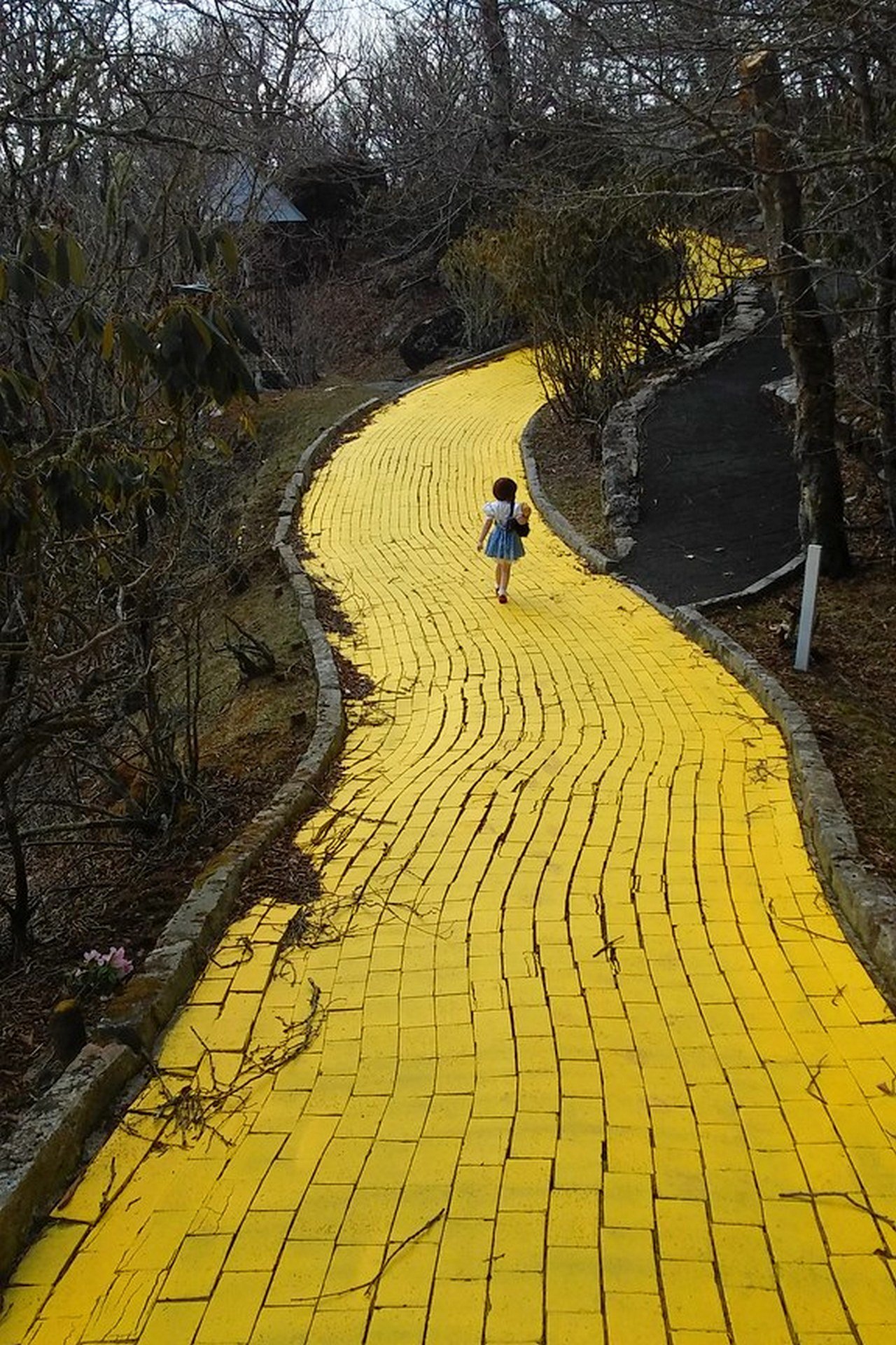 Dziewczynka idzie żółtą drogą w Krainie Oz