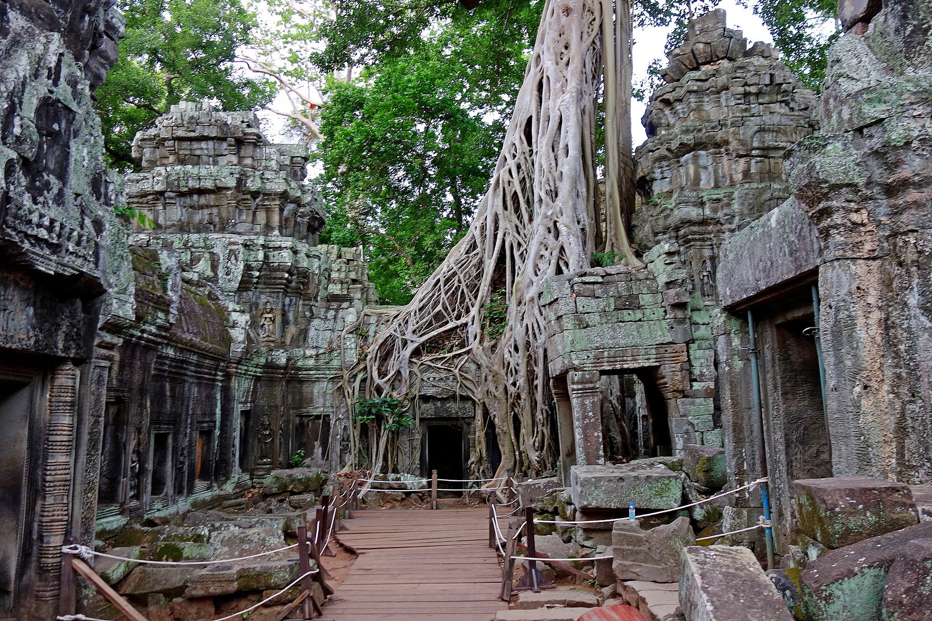 świątynia ta prohm kambodża