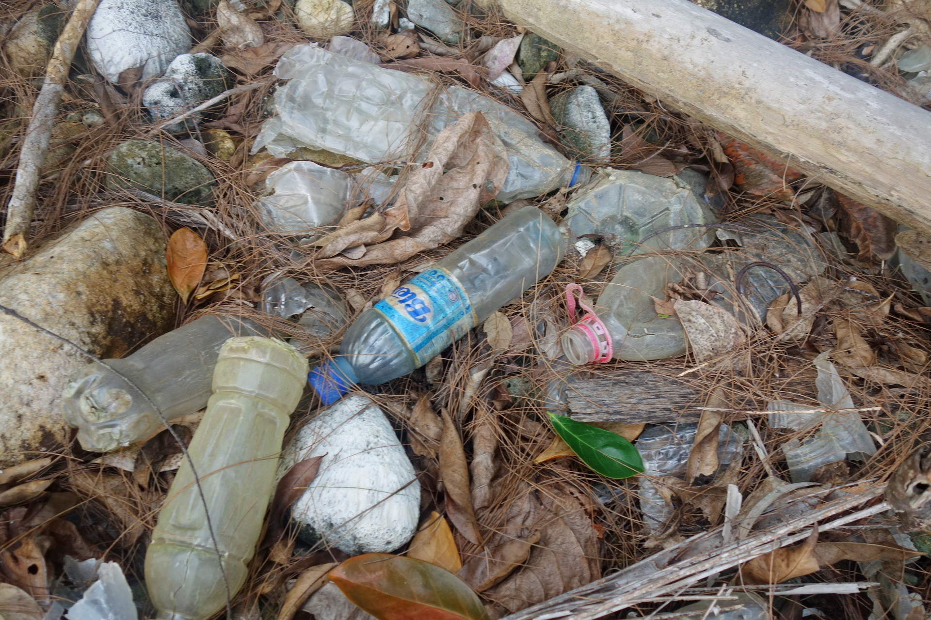 śmieci na Pulau Babi Besar