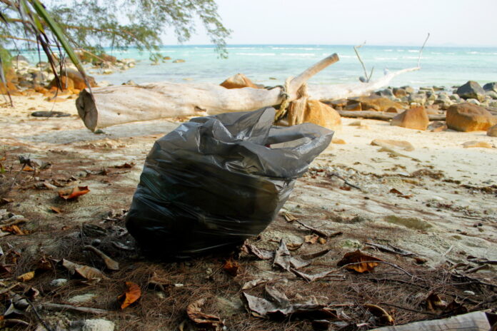 sprzątanie wyspy Pulau Babi Besar w Malezji