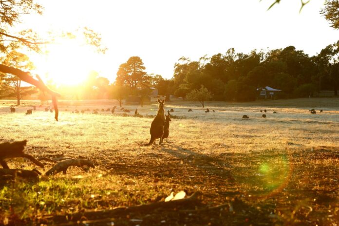 Wakacje Australia