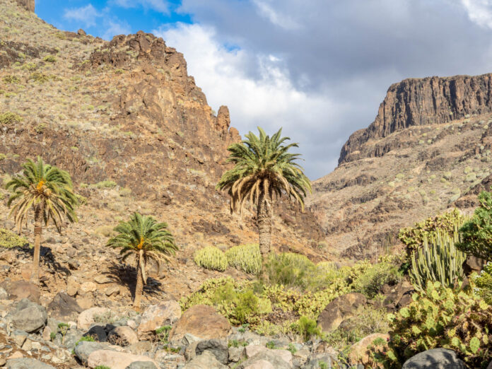 Barranco Las Palmas ravine, Gran Canaria, Spain