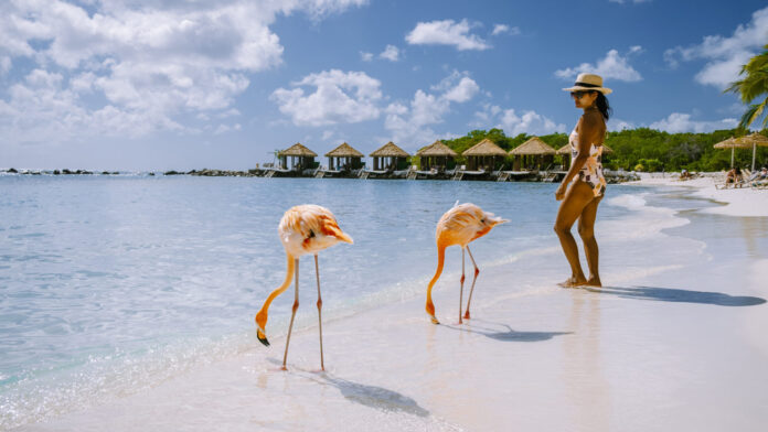 Couple at Aruba beach with pink flamingos at the beach, flamingo beach in Aruba Island Caribbean