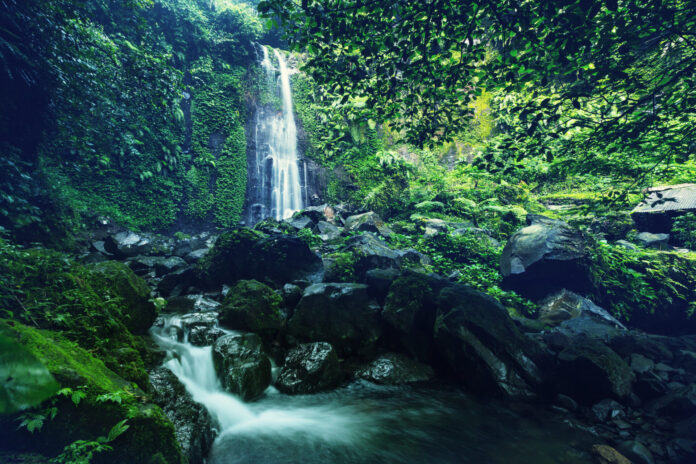 Waterfall in Indonesia