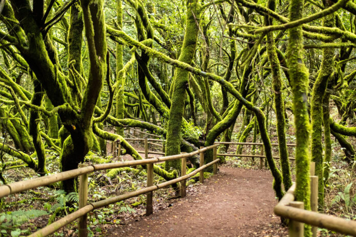 La Gomera