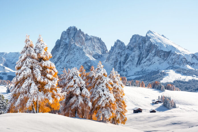 Engadina