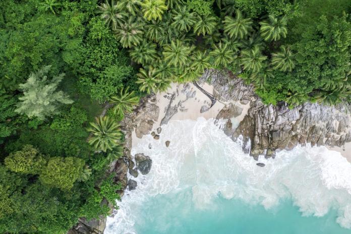 Beautiful tropical island with beach and coconut palm tree, freedom beach phuket