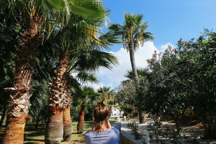 Girl amongst Palm Trees in Cyprus