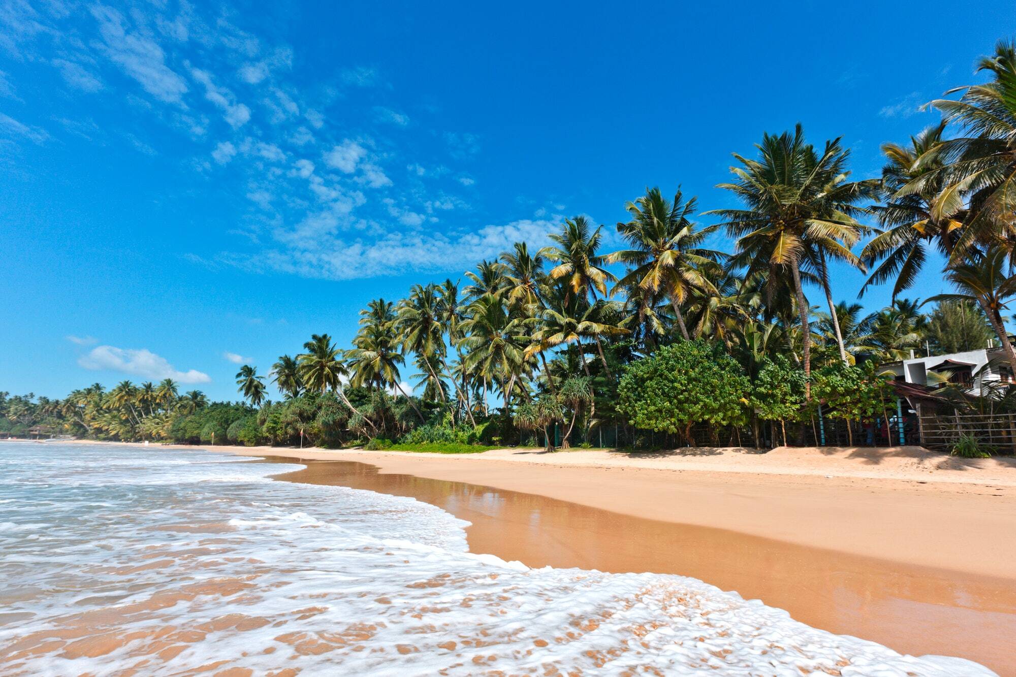 Idyllic beach. Sri Lanka