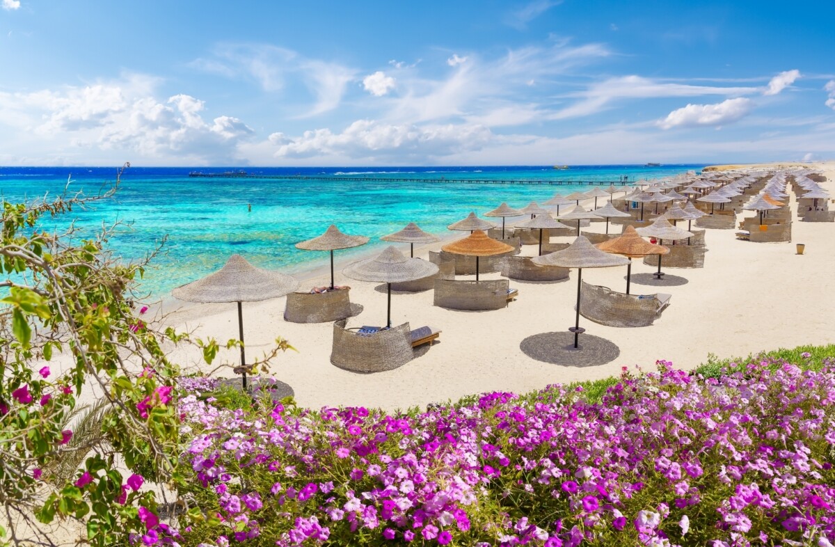 Marsa El Alam All inclusive z Warszawy lato 2025 🌞🏖️🐠