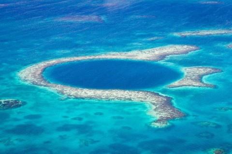 Druga największa rafa koralowa na świecie zagrożona przez koncerny paliwowe